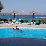 Albatross